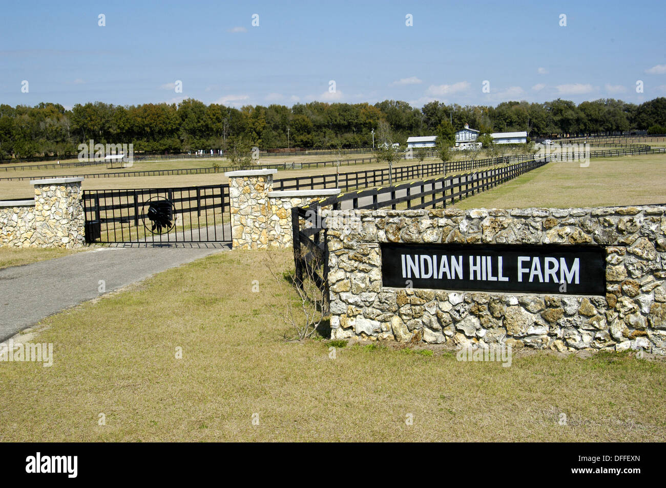 Horse farming area of Ocala, Florida. USA Stock Photo Alamy