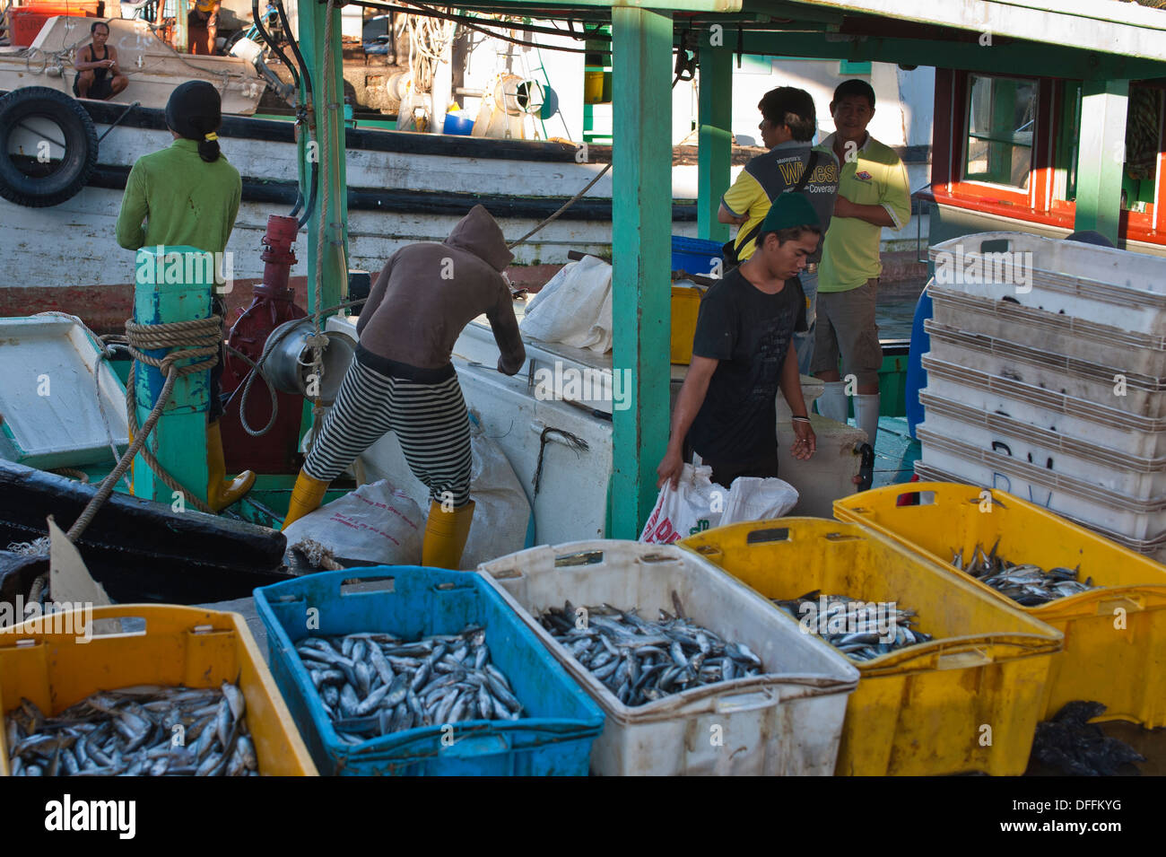 Workers in the fish Market, Kota Kinabalu Stock Photo Alamy
