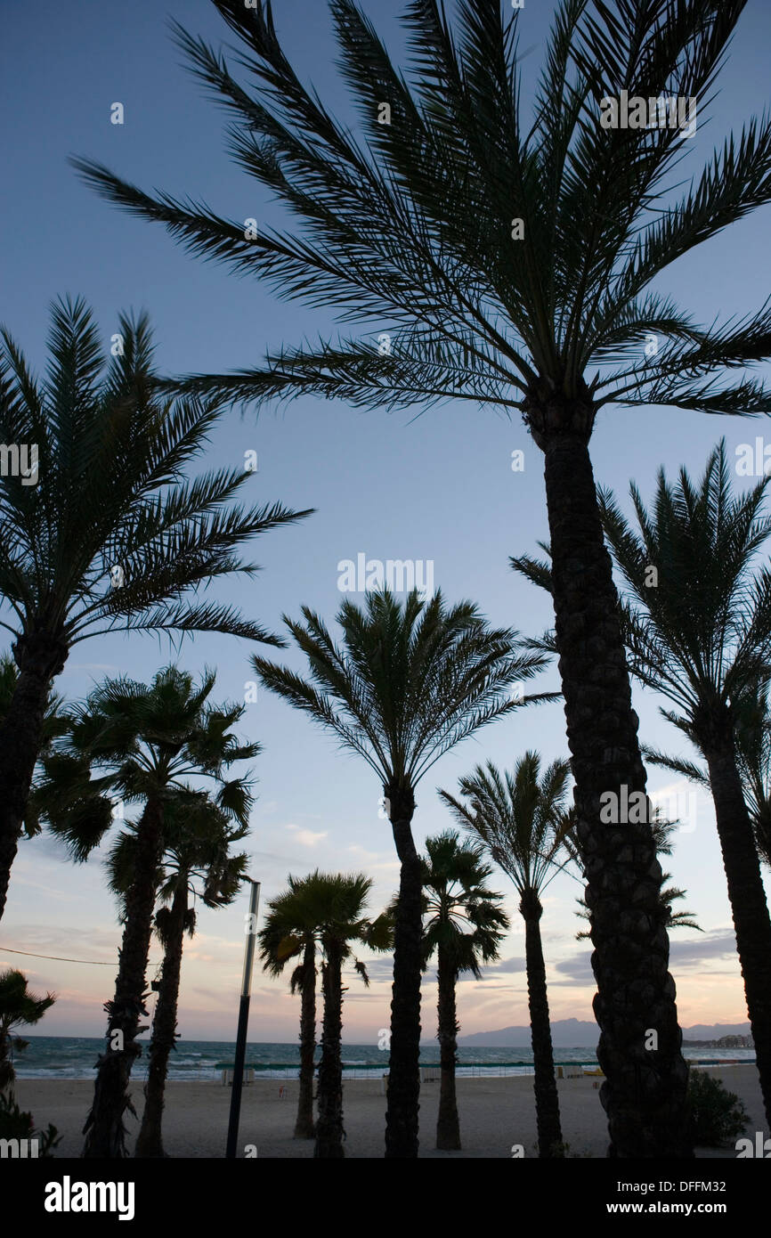 Beach Salou High Resolution Stock Photography and Images - Alamy