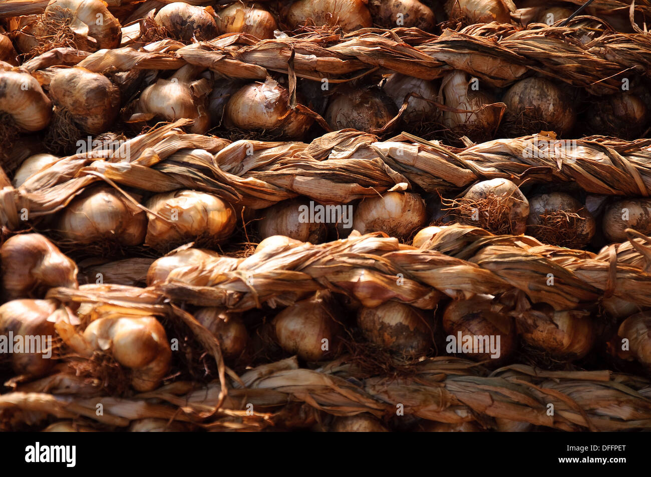 Garlic at a farmers market in Peronne, Picardie, France Stock Photo Alamy