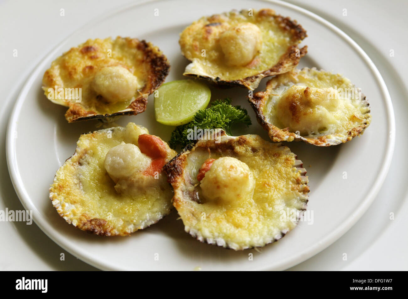 Gastronomy: Conchitas a la parmesana (scallops on their shells oven cooked  with cheese and butter). Restaurante La Rosa Stock Photo - Alamy