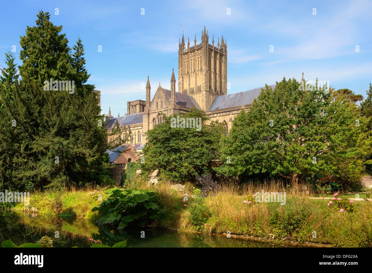 Wells, cathedral, Somerset, England, United Kingdom Stock Photo