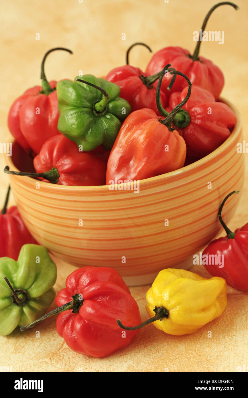 Red chilis peppers (rocotos) (Capsicum pubescens Stock Photo Alamy