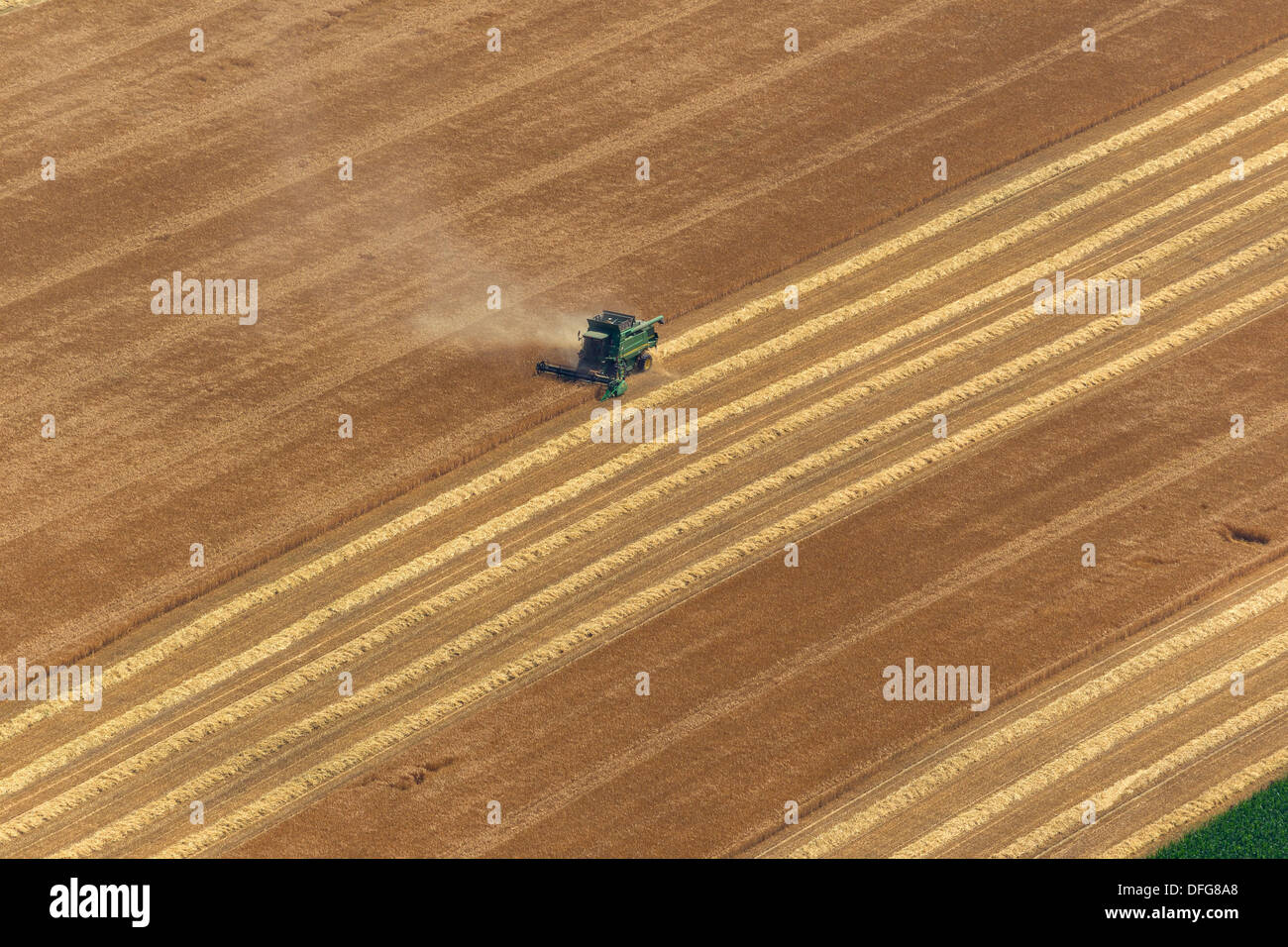 Aerial view, combine harvester harvesting a grain crop, Dorsten, North Rhine-Westphalia, Germany Stock Photo