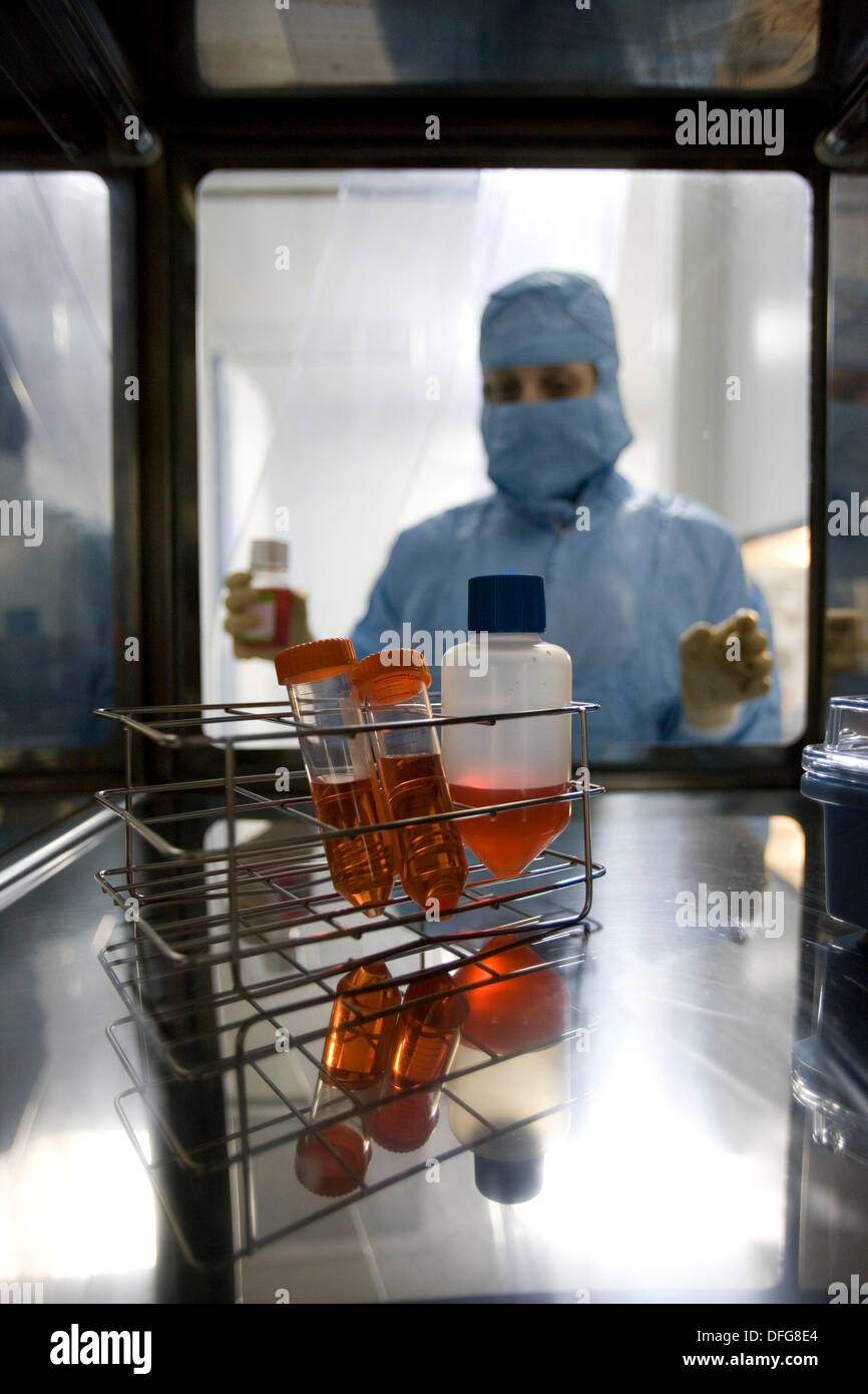 SAS window, clean room, DMEM (Dulbeco´s Modified Eagle´s Medium