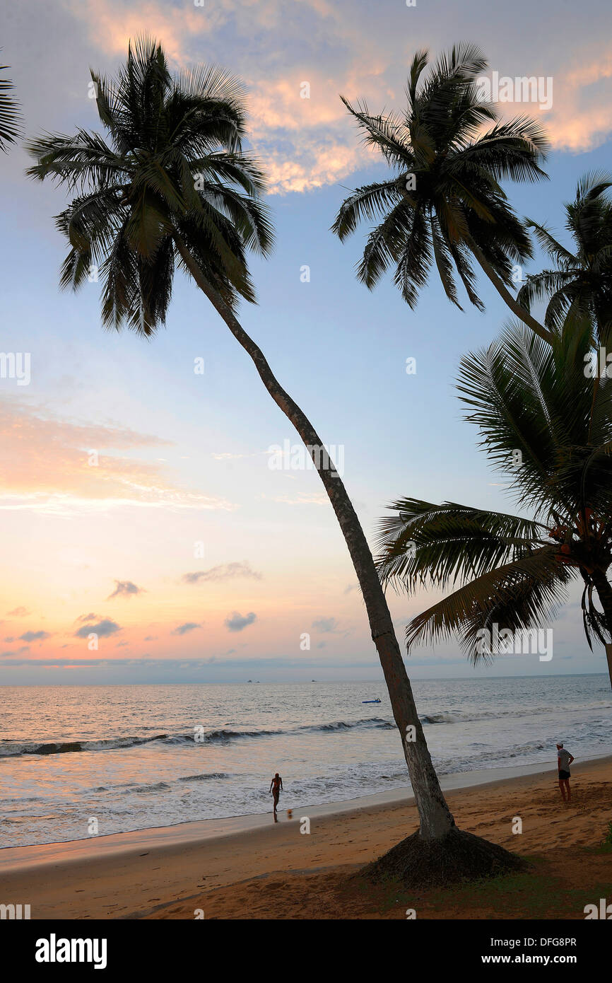 Beach with palm trees, Kribi, South Region, Cameroon Stock Photo