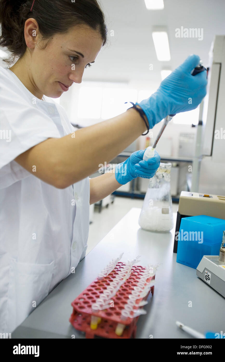 Molecular Biology Laboratory. Preparing samples to detect the addition of tangerine to orange juice with DNA techniques. Stock Photo