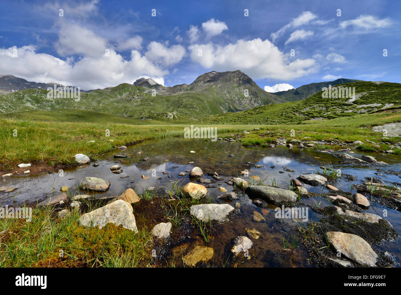 Timmelsalm alpine pasture in front of Schneeberger Weisse and Guertelspitz mountains, Stubai Alps, Tyrol, Austria Stock Photo