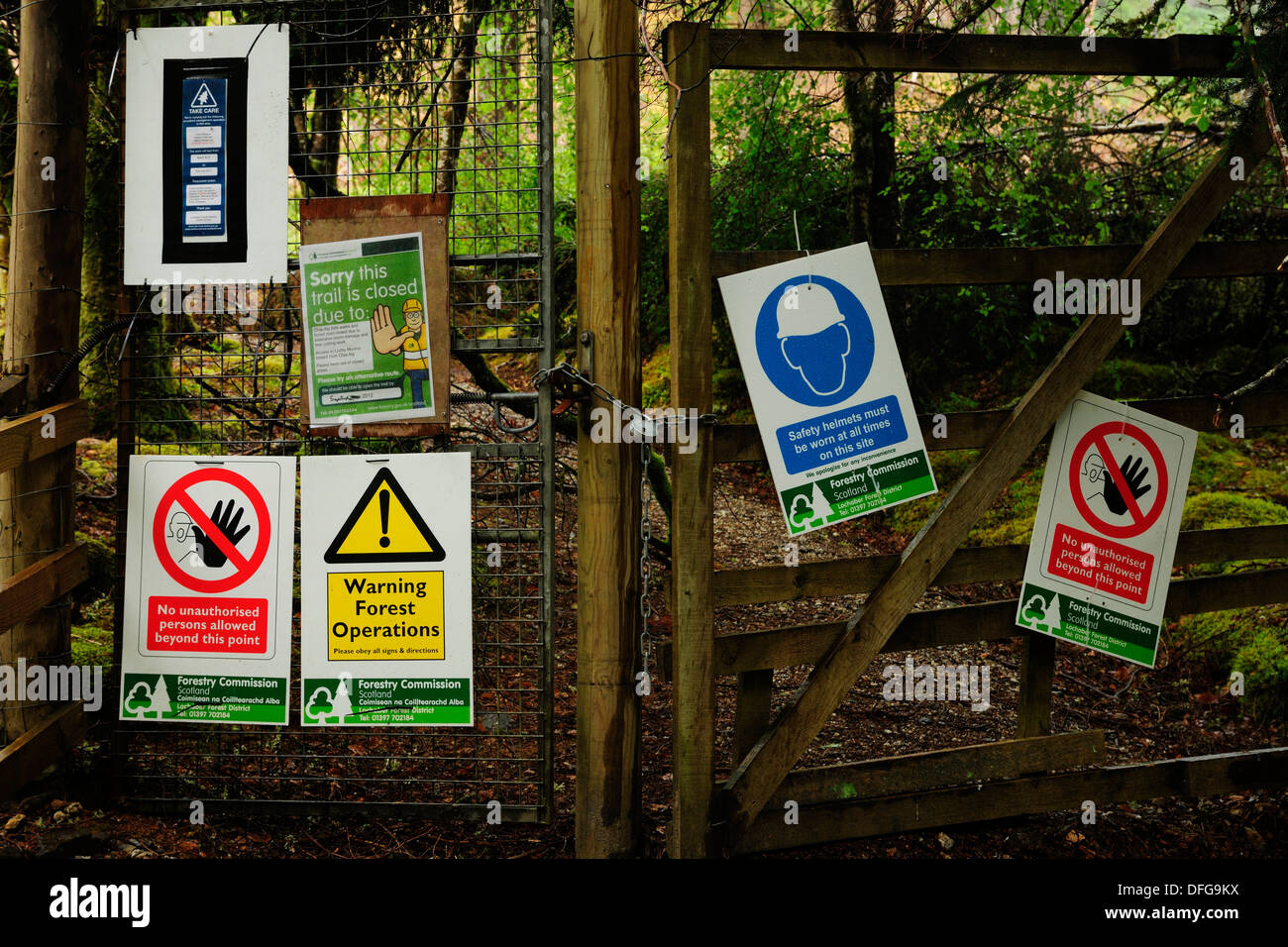 Forest Gate High Resolution Stock Photography and Images Alamy