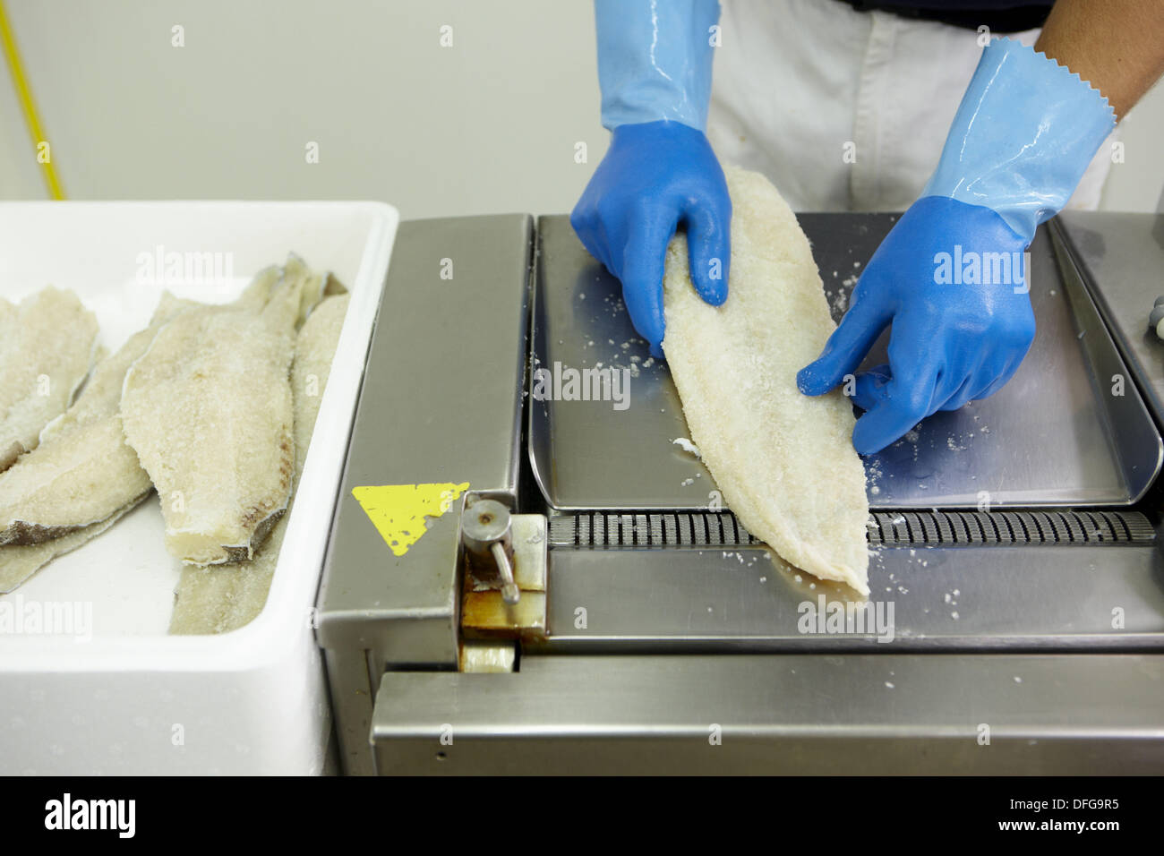 Removing skin, manipulation of salt cod, refrigerated and frozen salt cod distribution Stock Photo