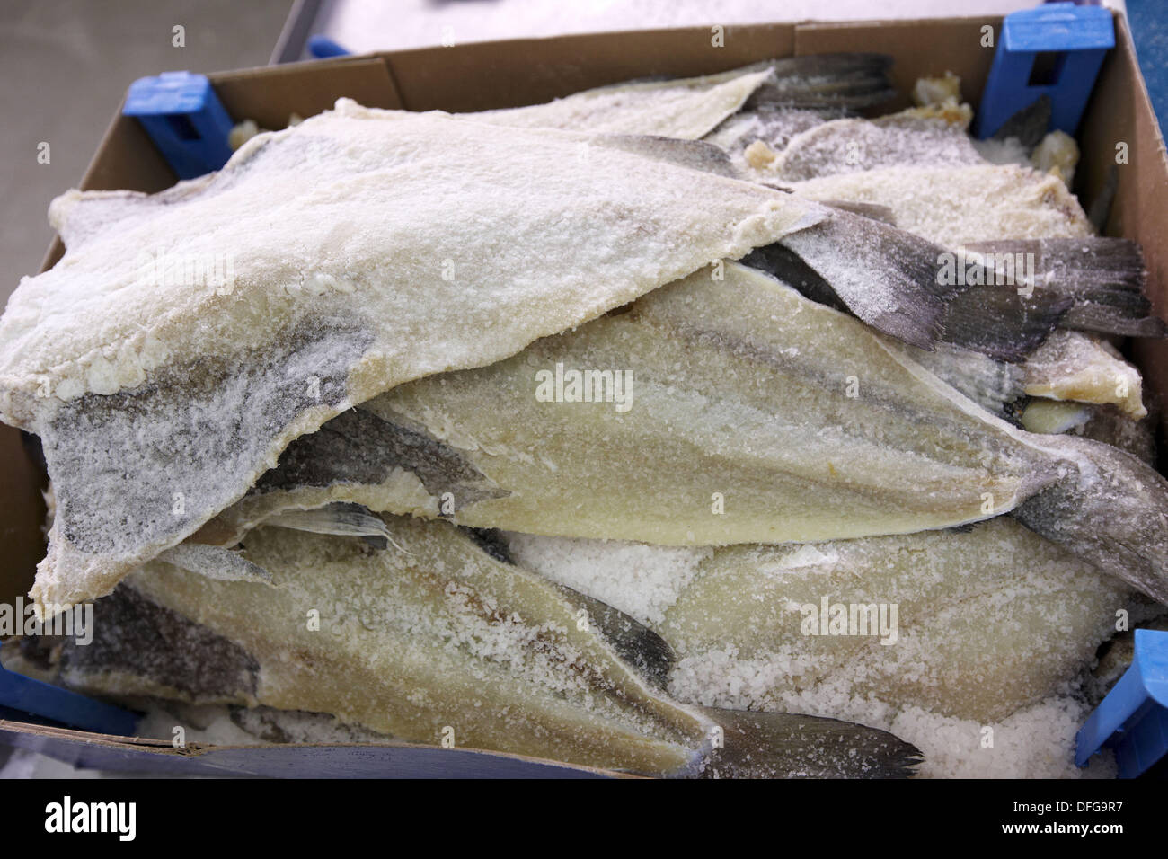 Salt cod, refrigerated and frozen salt cod distribution Stock Photo Alamy