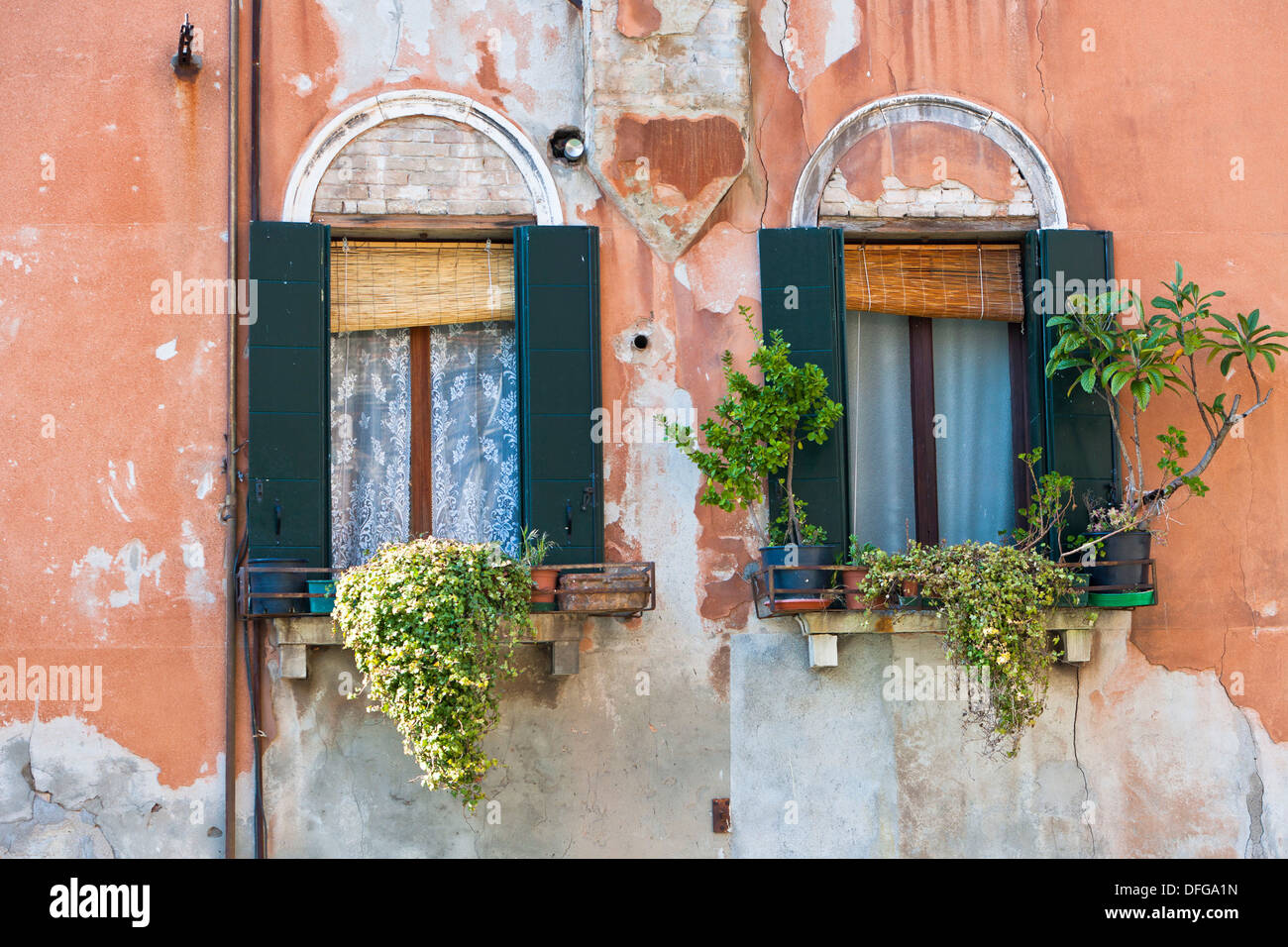 Close up of a decayed building with flowers in the windows, Venice, Italy, Europe Stock Photo