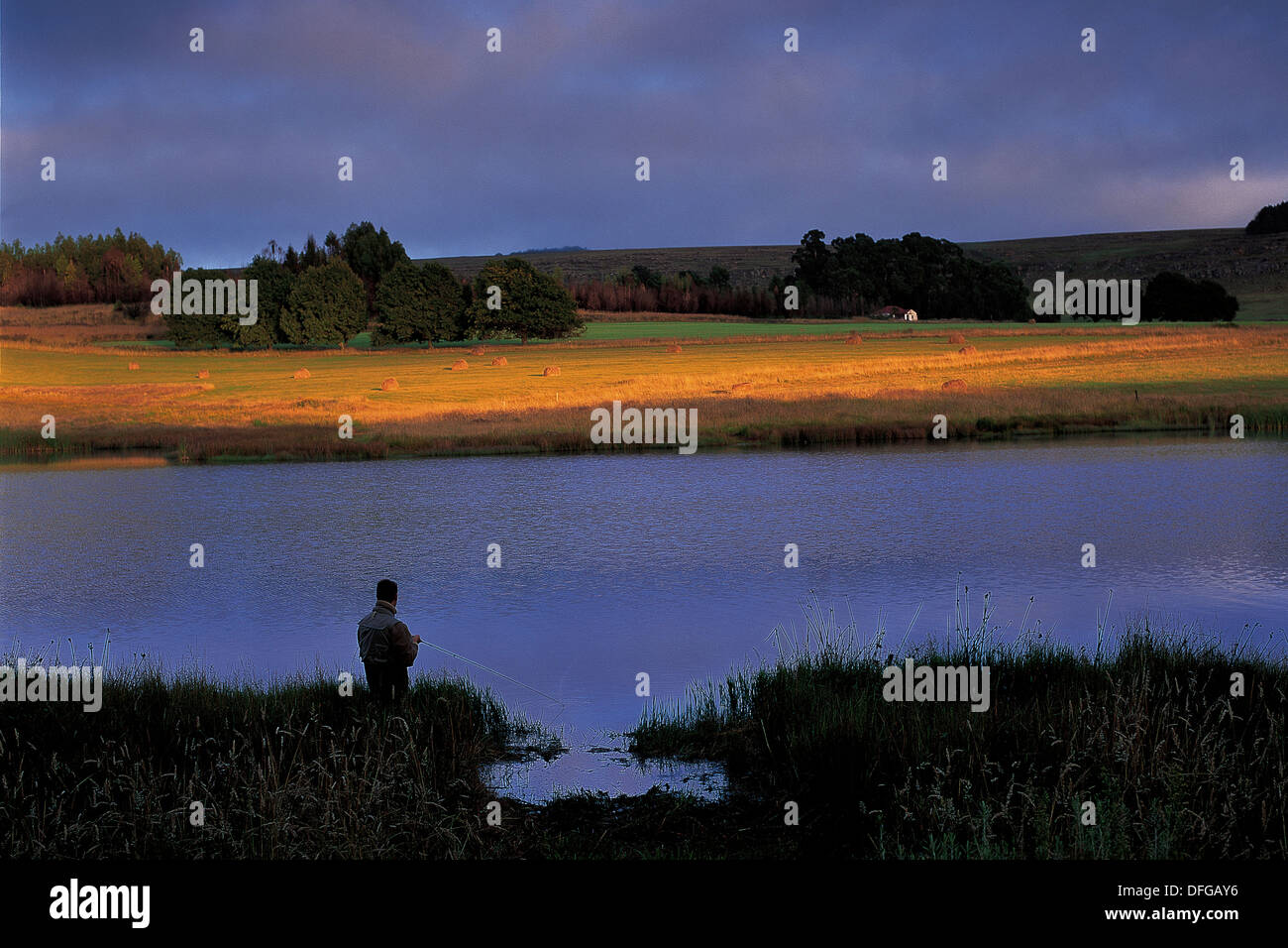 Fly fishing near Dullstroom in Mpumalanga Stock Photo Alamy