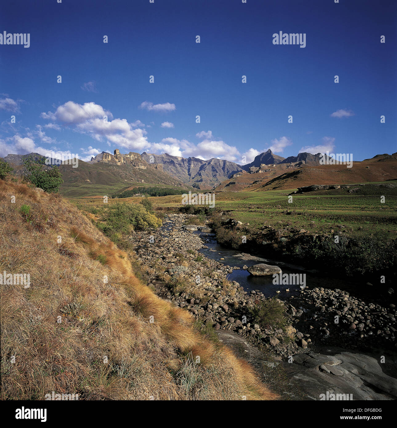 Drakensberg Gardens, Southern Drakensberg Stock Photo - Alamy