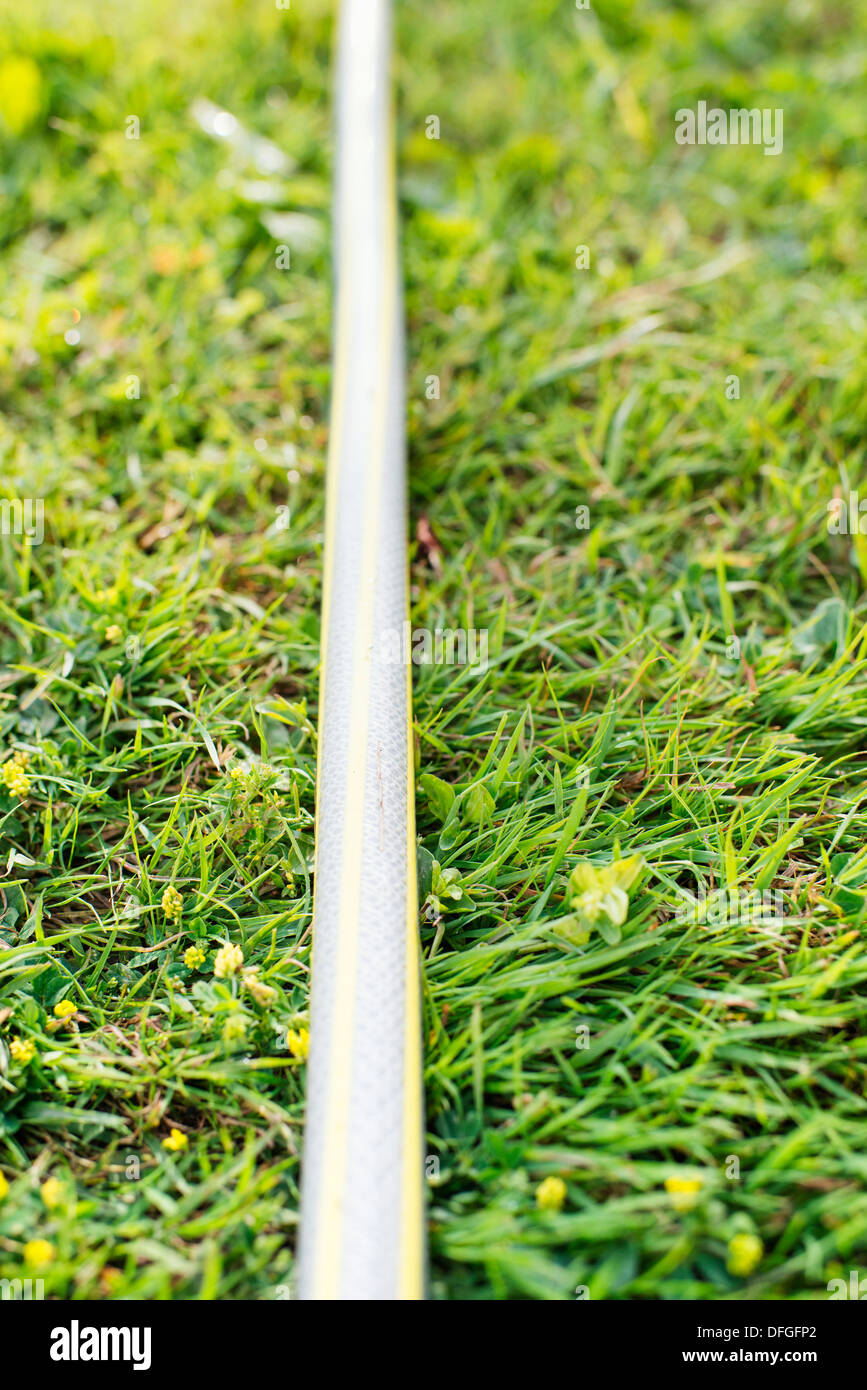 Close up of plastic garden hose on green grass Stock Photo