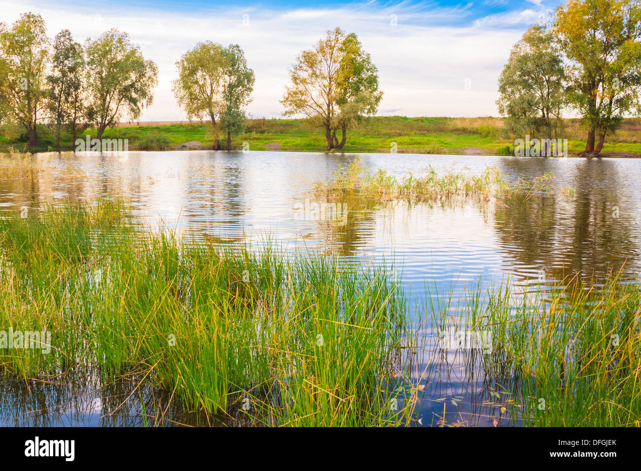 Autumn Forest River Lake Landscape. Sunny Day, Blue Sky Stock Photo