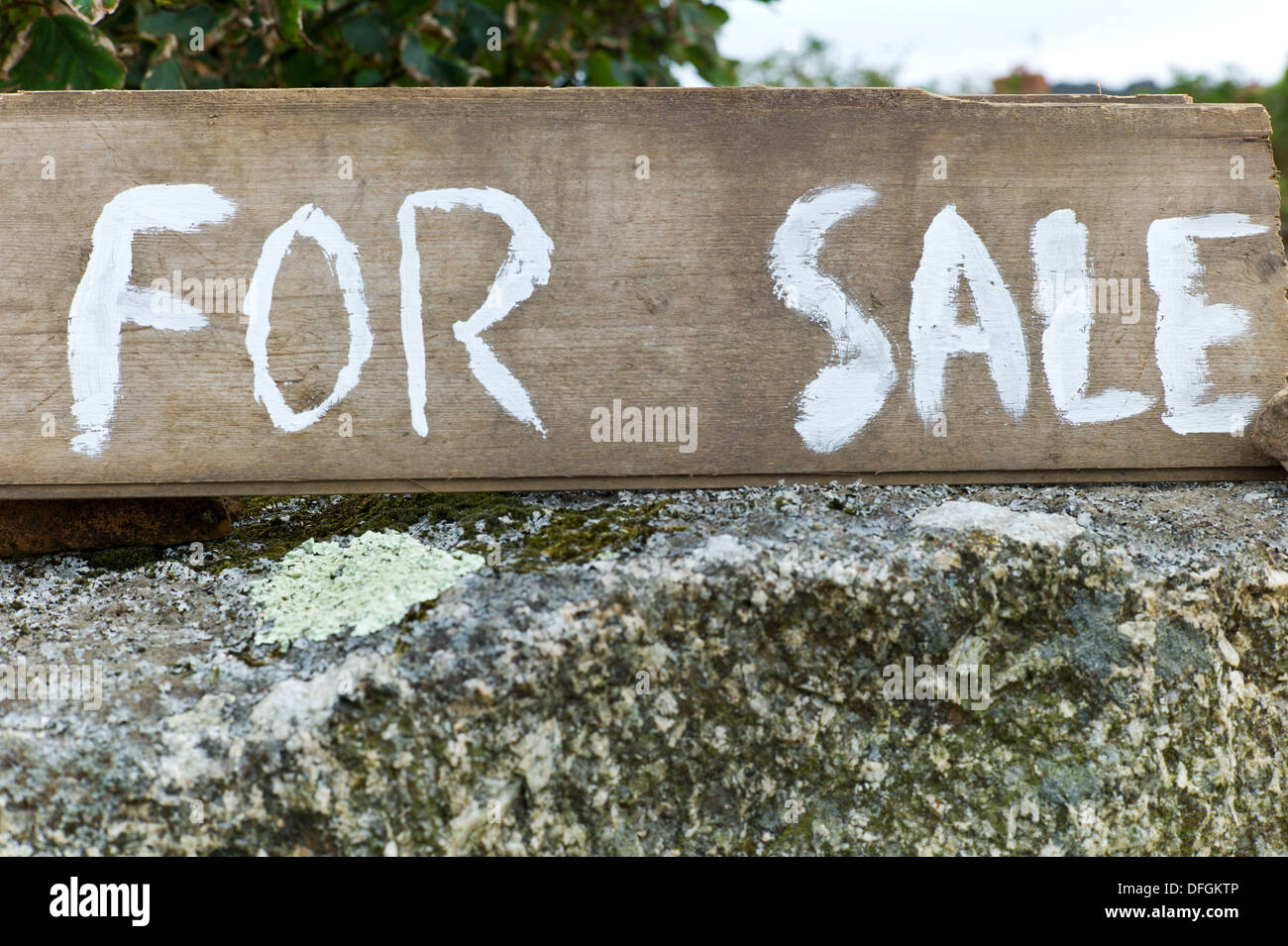 Wooden painted for sale sign on granite wall in Cornwall Credit David