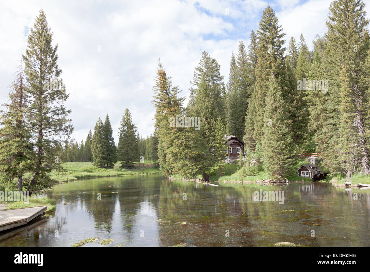 Johnny Sack Cabin Amid Pine Trees In Big Springs Island Park Idaho Stock Photo Alamy