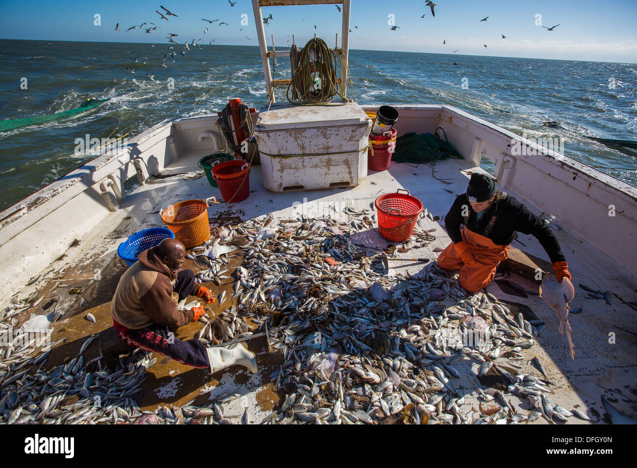 Shrimp boat catch hires stock photography and images Alamy