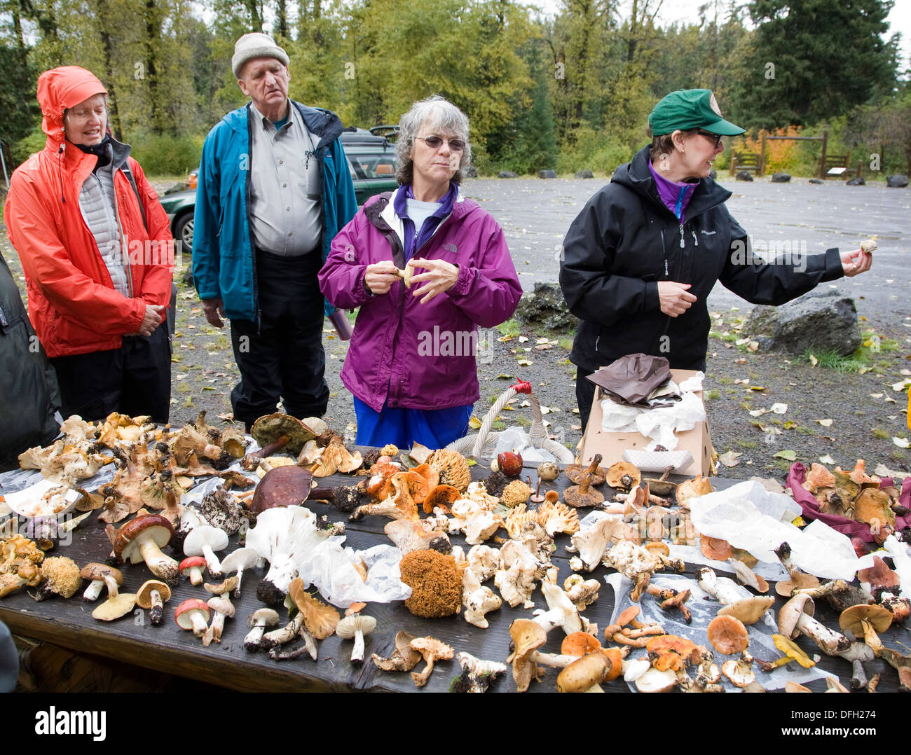 Mushroom Oregon High Resolution Stock Photography and Images Alamy