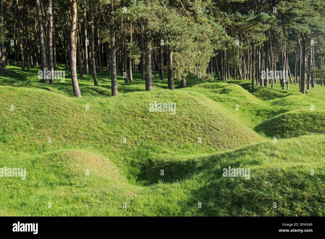 Preserved First World War One Canadian WWI shelled battlefield showing bomb craters at Vimy Ridge, Givenchy-en-Gohelle, France Stock Photo