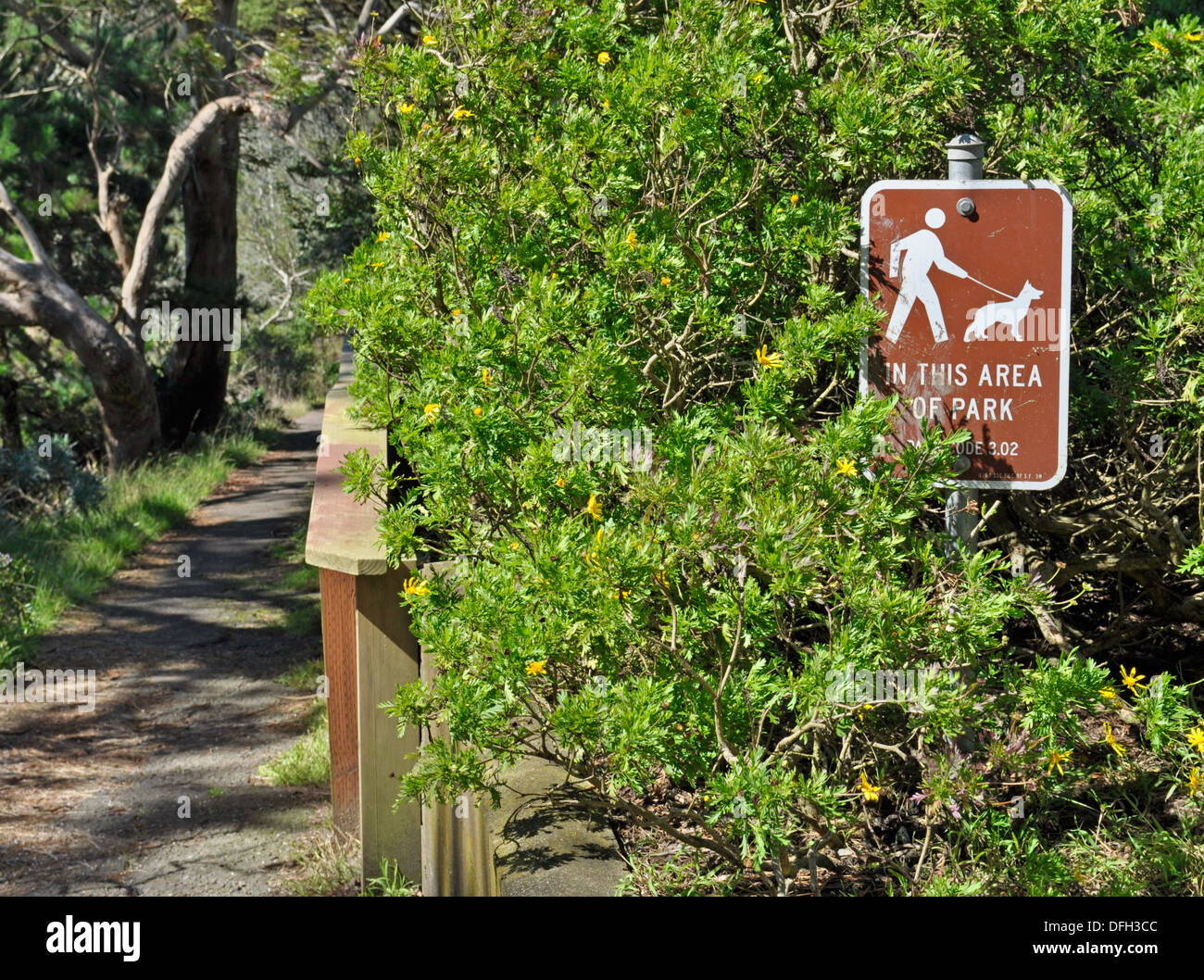 Dogs on leash symbol Sign in park Stock Photo