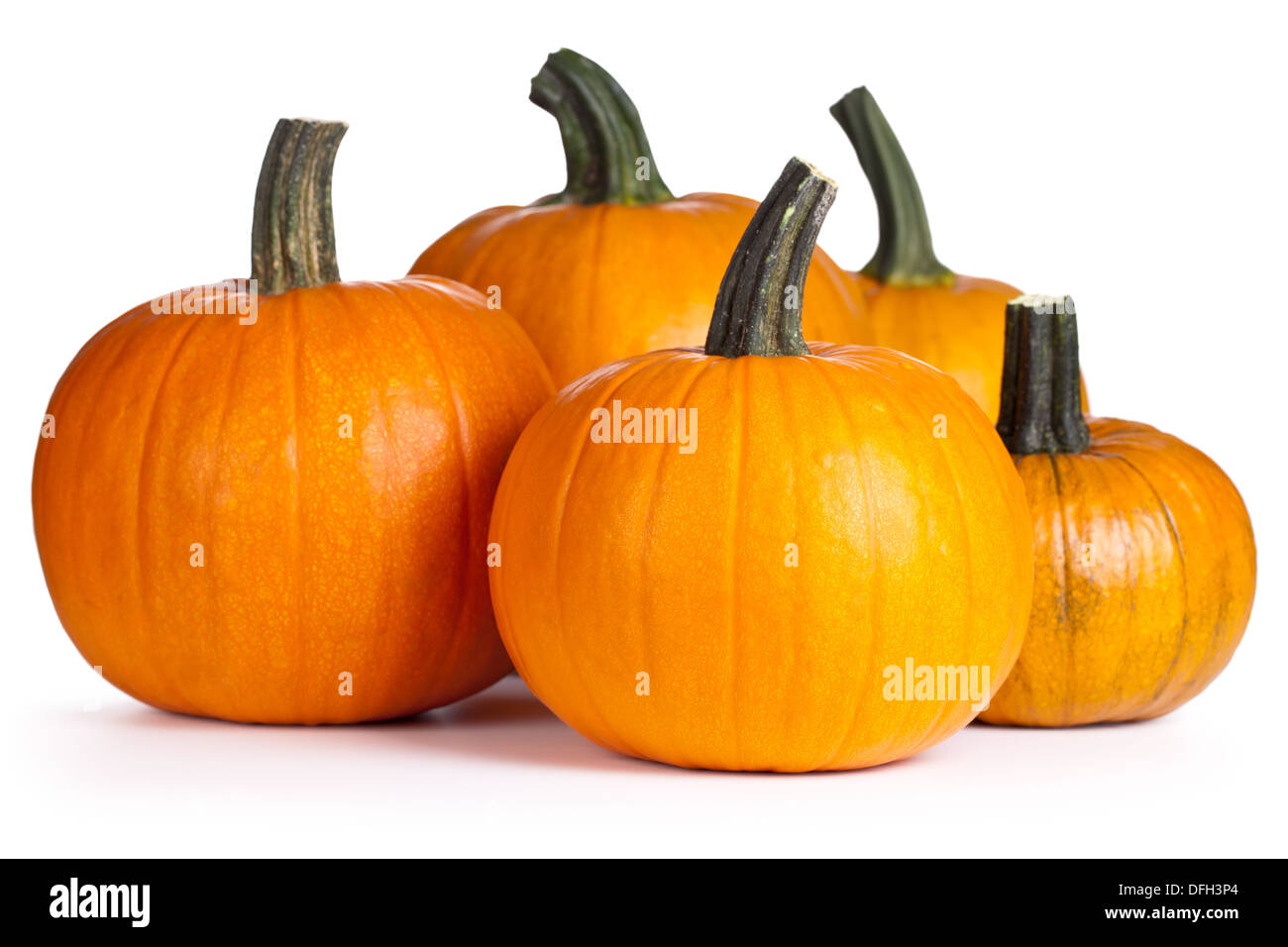 Pumpkins on white background. Autumn and halloween composition Stock Photo