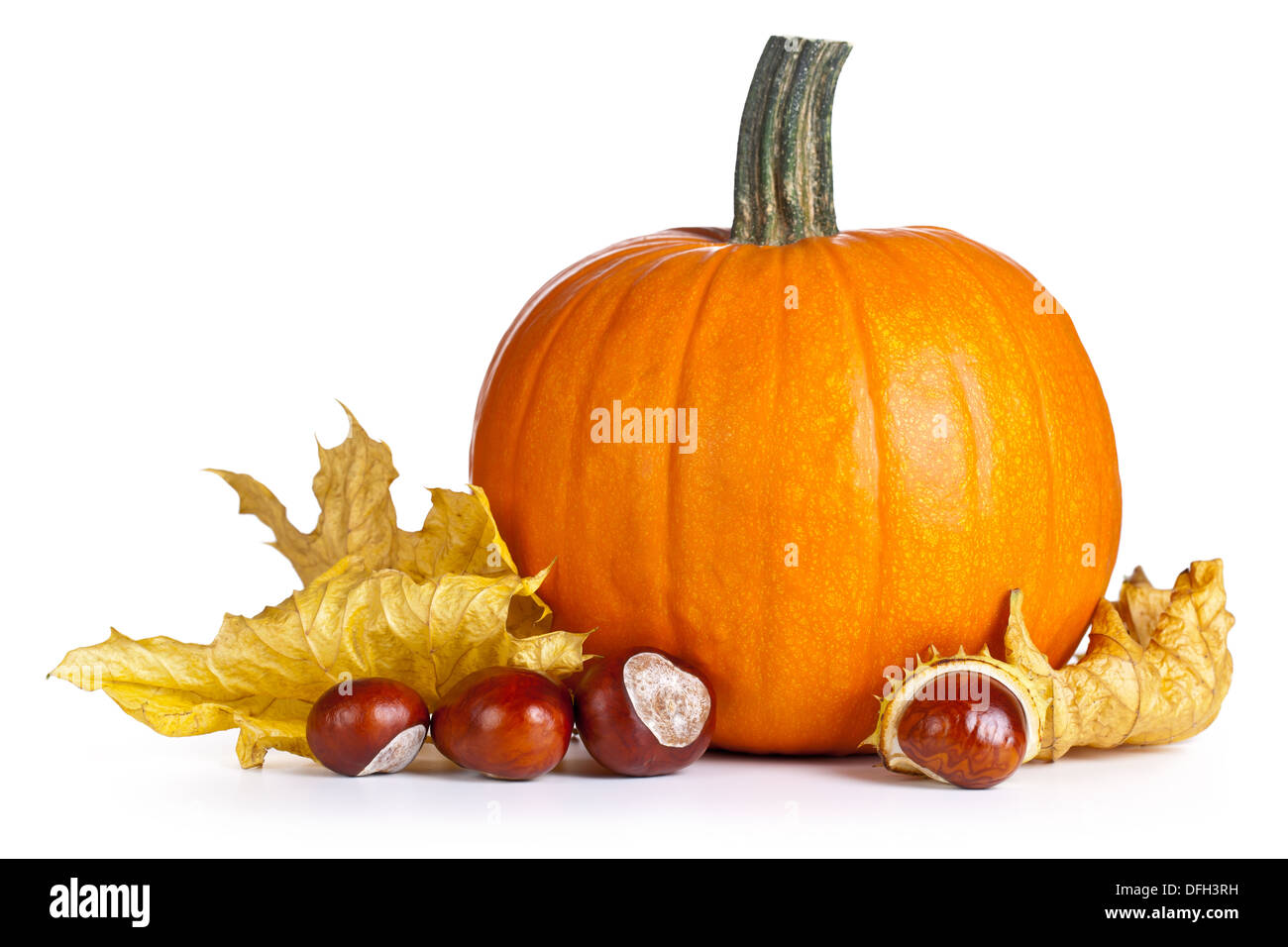 Pumpkin with autumn leaves and chestnuts on white background. Autumn composition Stock Photo