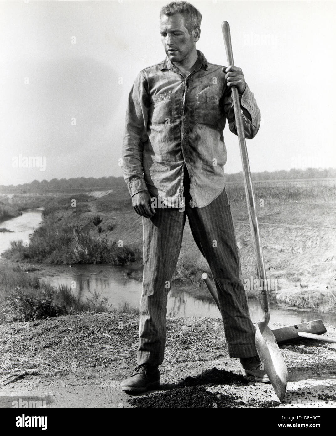 Paul Newman on-set of the Film, Cool Hand  Luke, 1967 Stock Photo