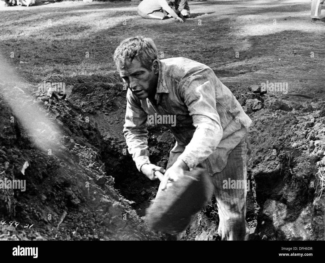 Paul Newman on-set of the Film, Cool Hand  Luke, 1967 Stock Photo