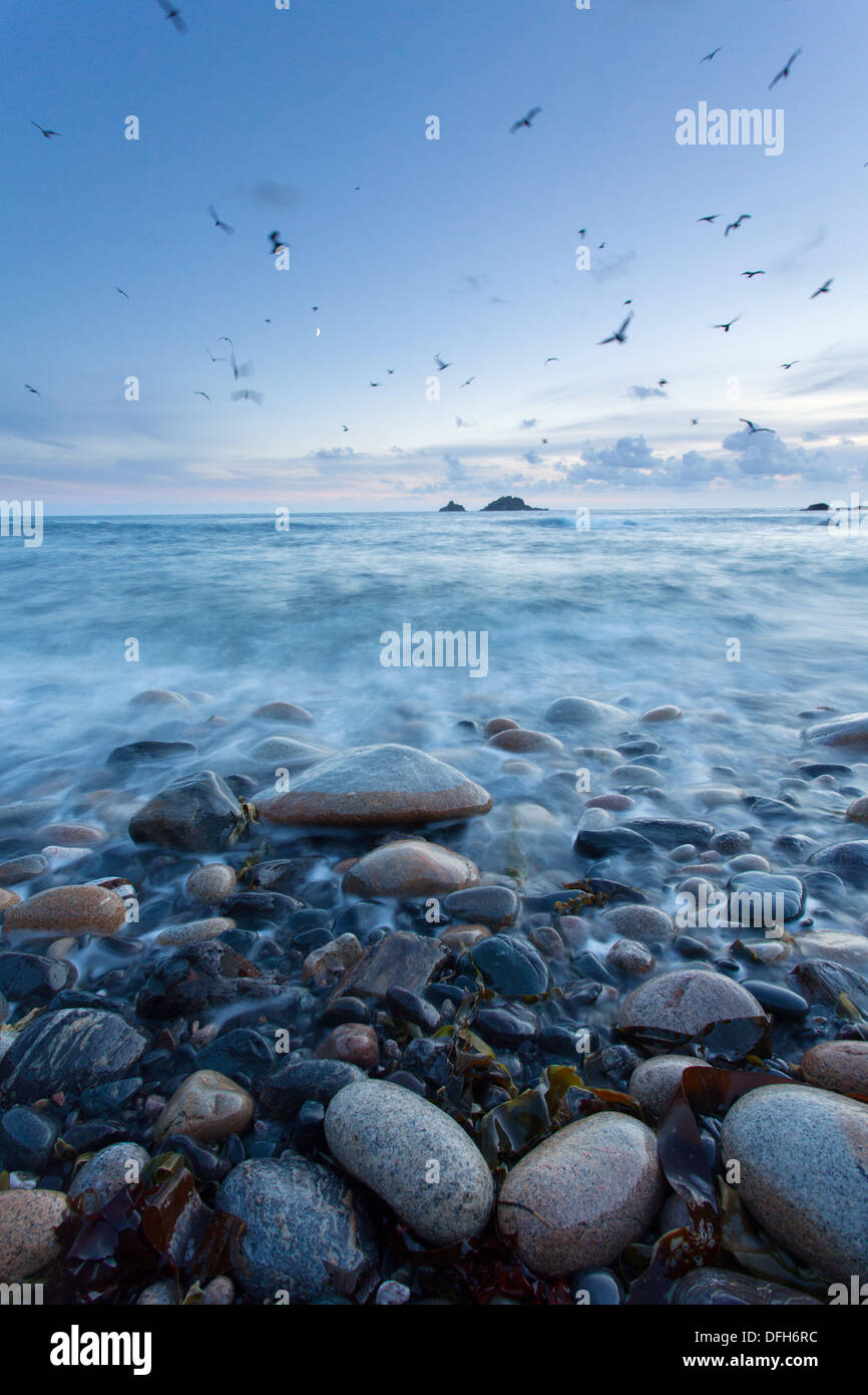 Boulders on the beach Cape Cornwall with seagulls circling overhead Stock Photo