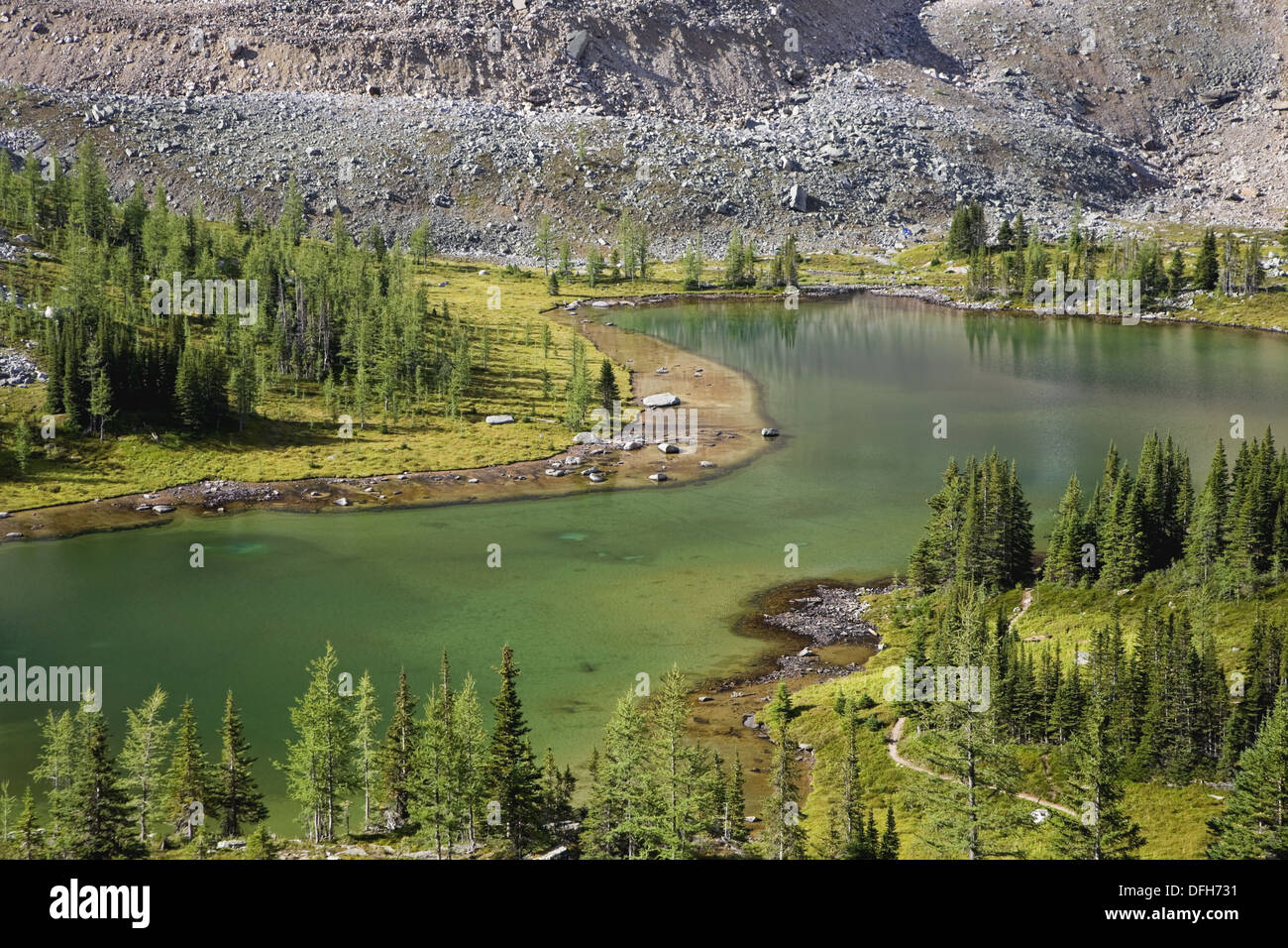 Opabin Plateau and Lake, Yoho National Park, British Columbia, Canada