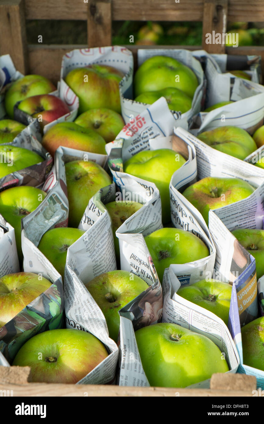 Storing apples hires stock photography and images Alamy