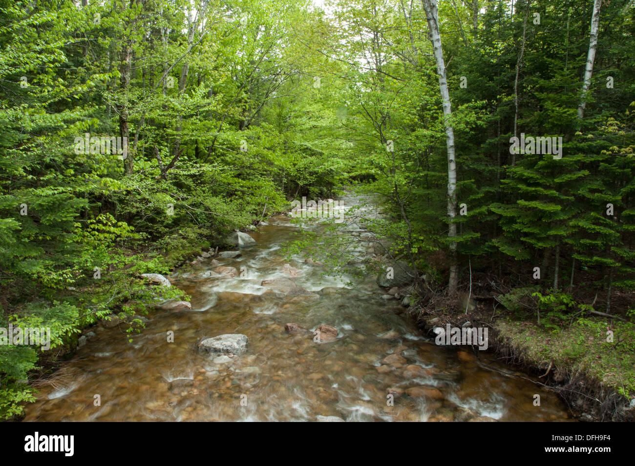 The Mad River, Waterville Valley, NH in the White Mountain National Forest Stock Photo Alamy
