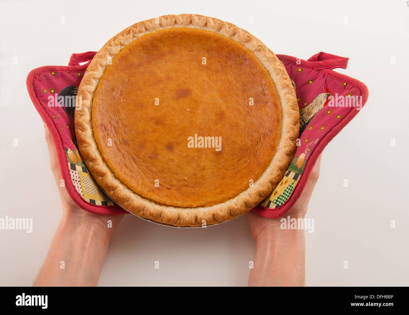Freshly served Pumpkin pie out of oven Stock Photo