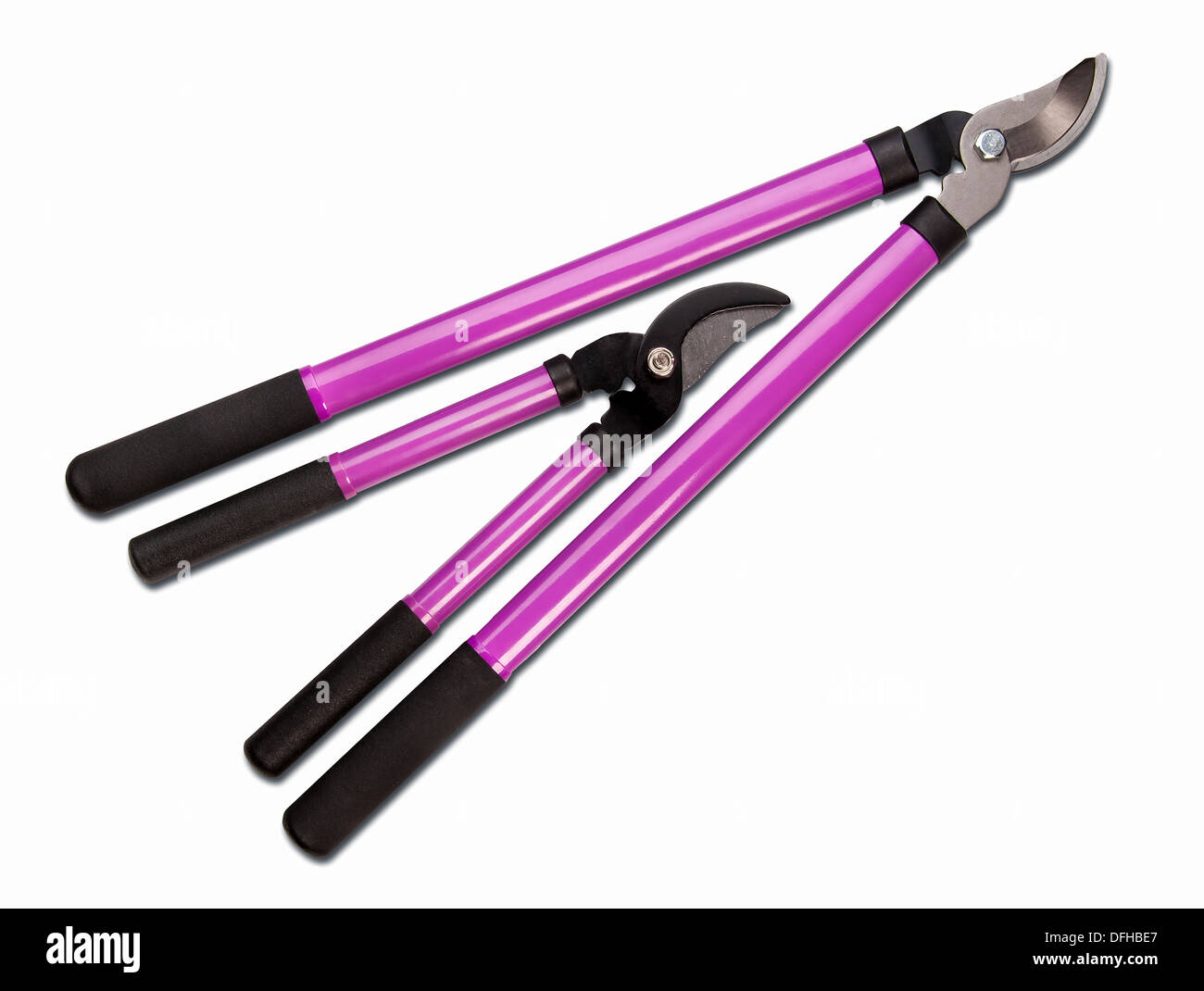 Various size cutters for trimming tree branches Stock Photo Alamy