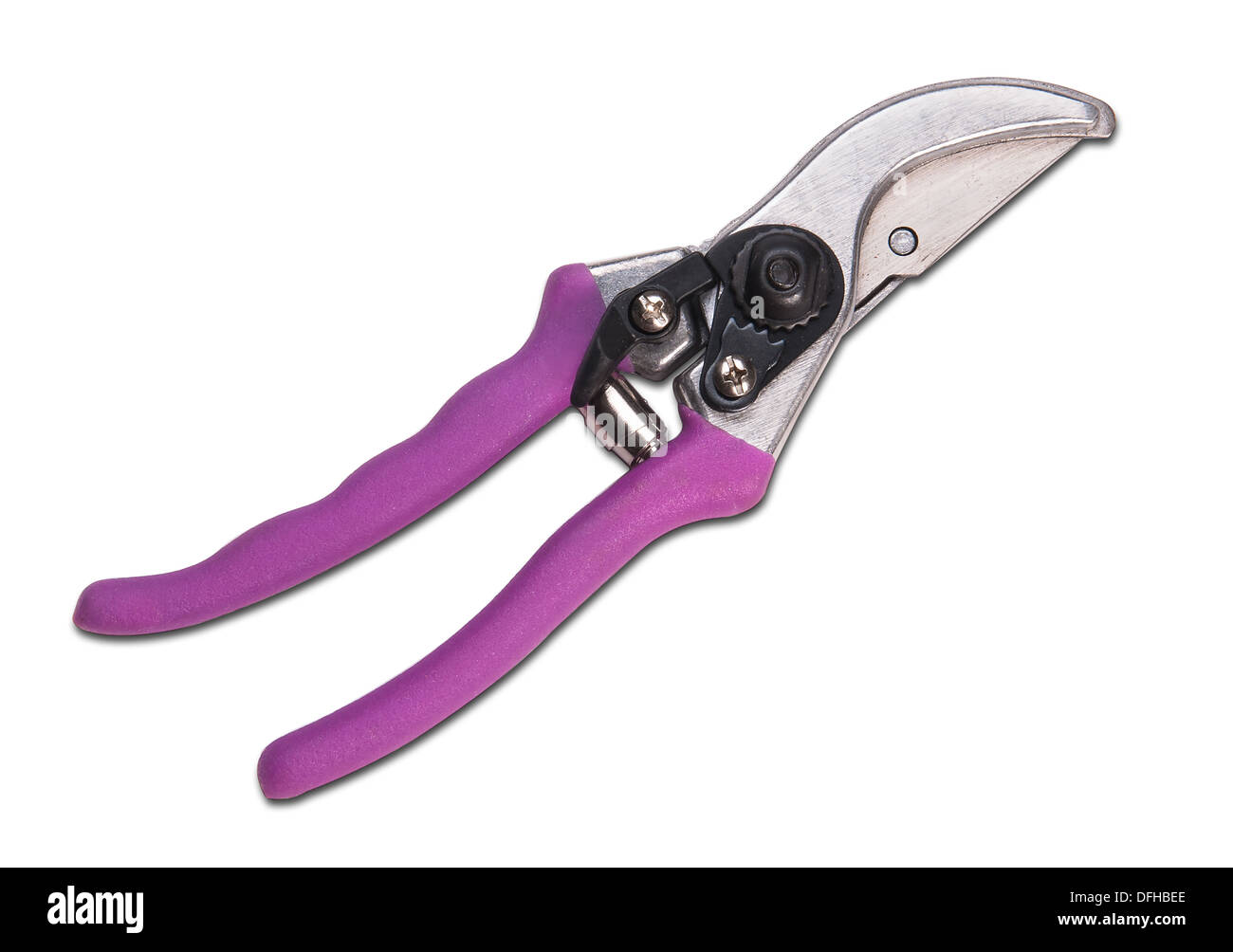 Various size cutters for trimming tree branches Stock Photo Alamy