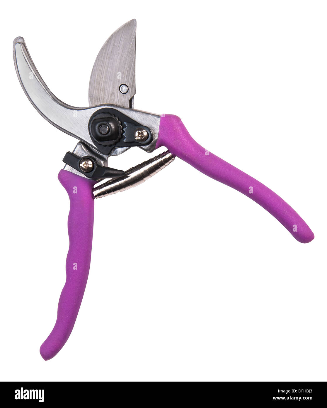 Various size cutters for trimming tree branches Stock Photo Alamy