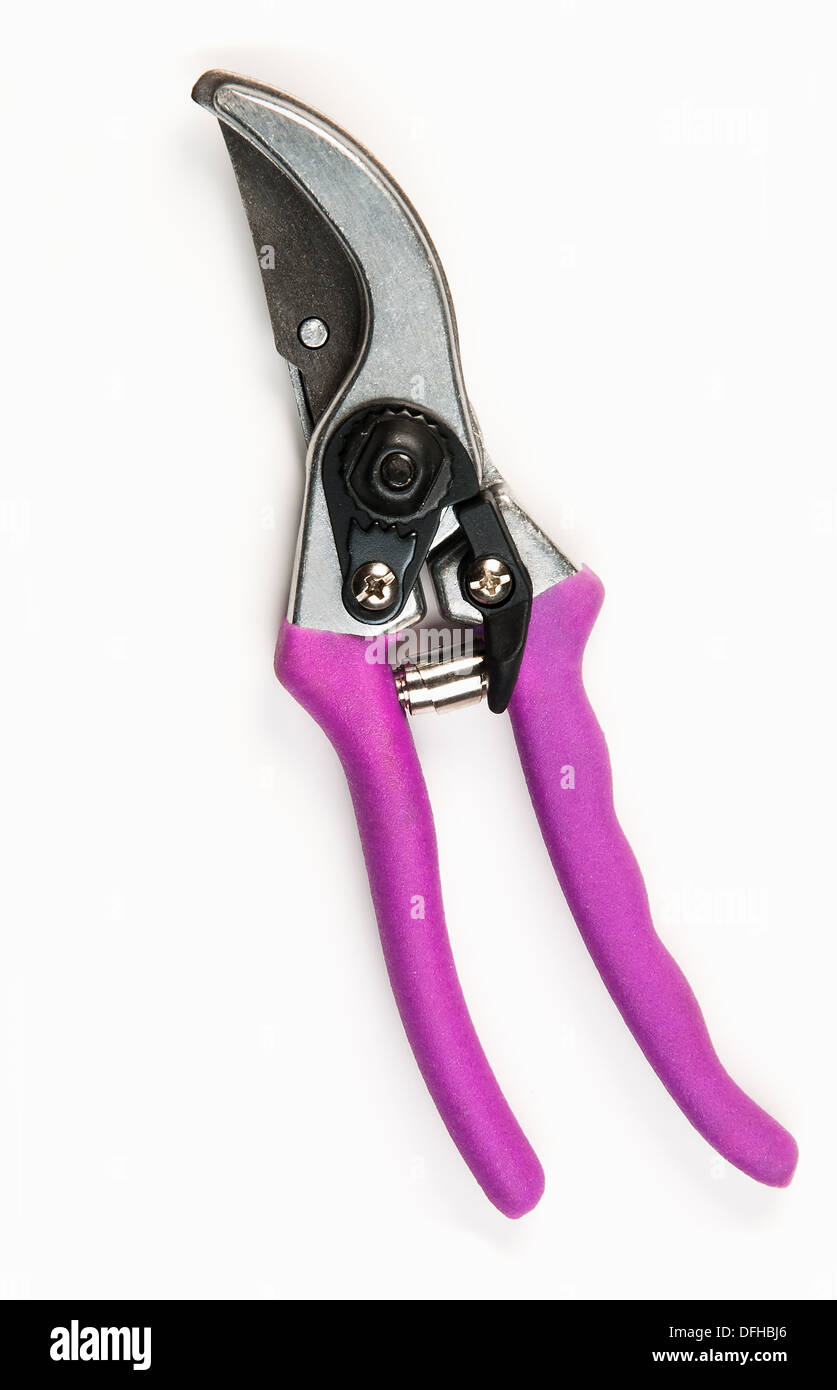 Various size cutters for trimming tree branches Stock Photo Alamy