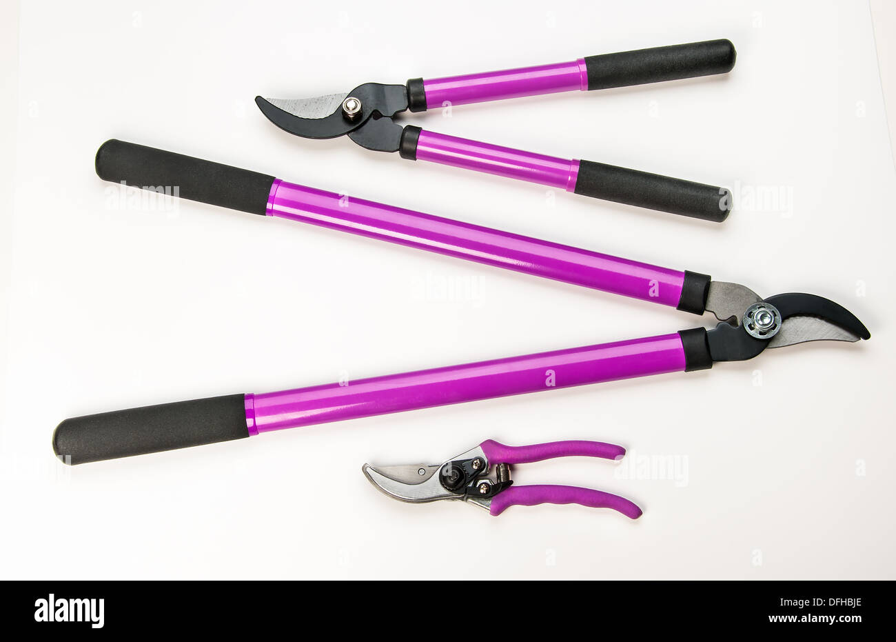 Various size cutters for trimming tree branches Stock Photo Alamy