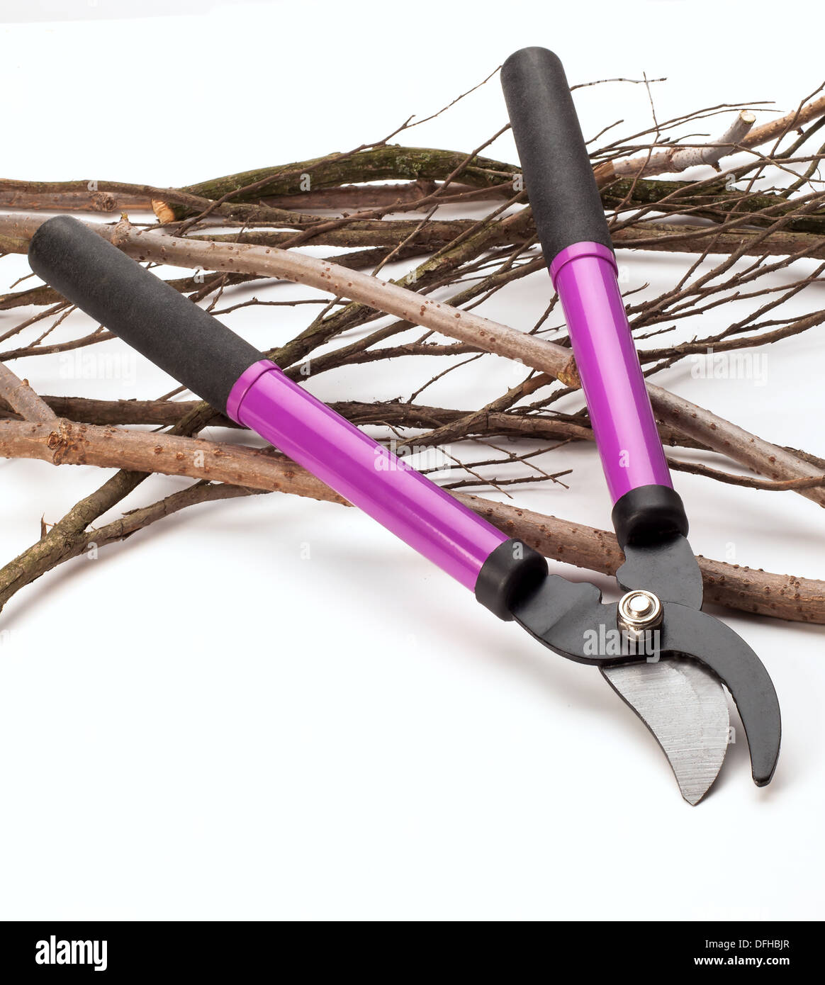 Various size cutters for trimming tree branches Stock Photo Alamy