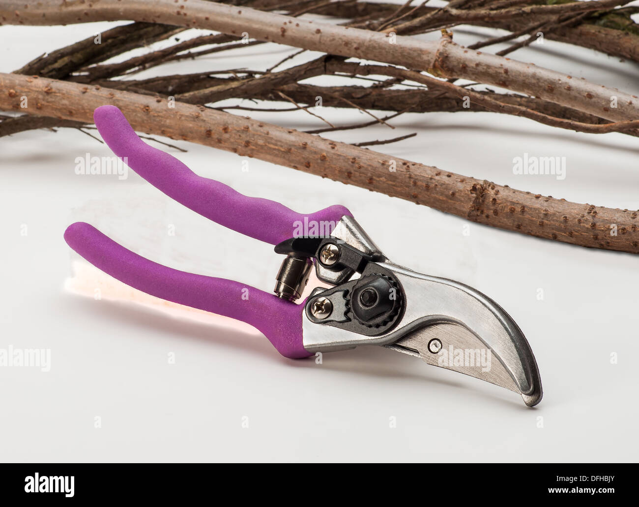 Various size cutters for trimming tree branches Stock Photo Alamy