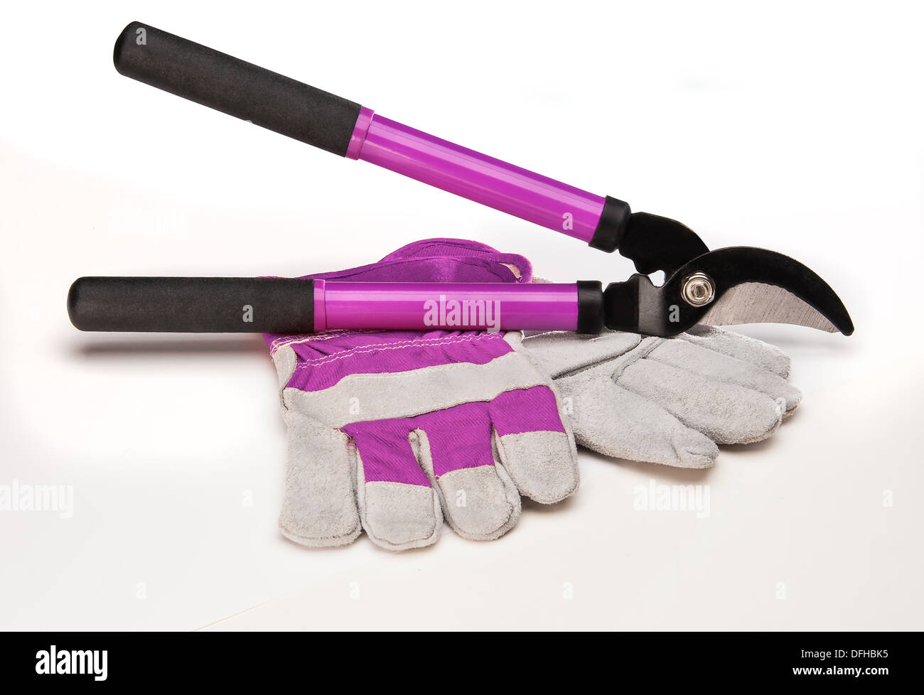 Various size cutters for trimming tree branches Stock Photo Alamy