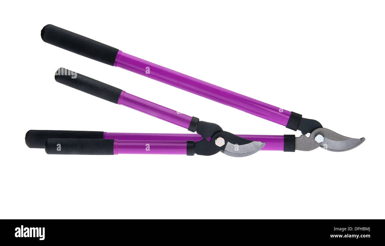 Tree cutters pruning trees Cut Out Stock Images & Pictures Alamy