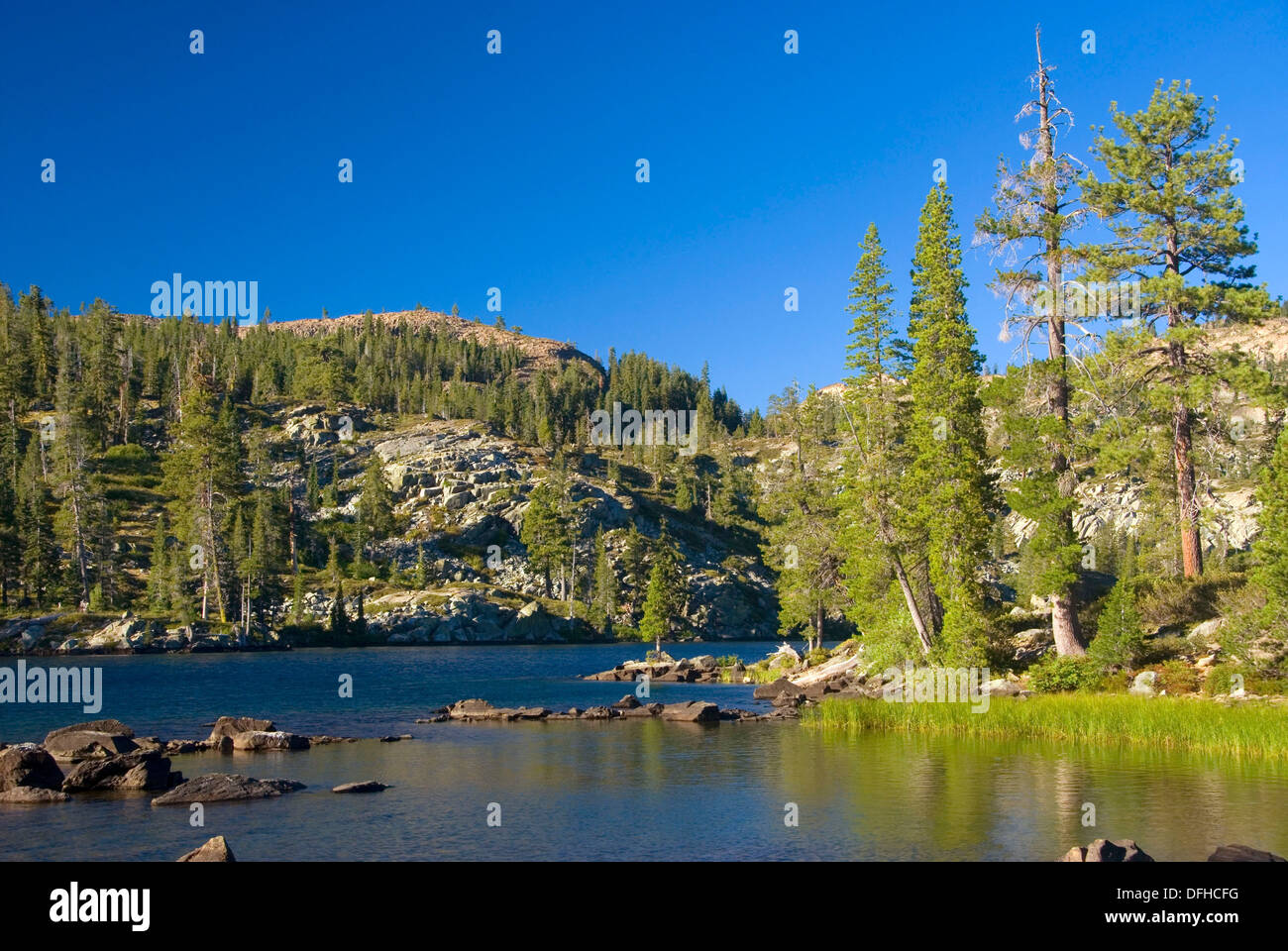 Plumas Nf High Resolution Stock Photography and Images Alamy