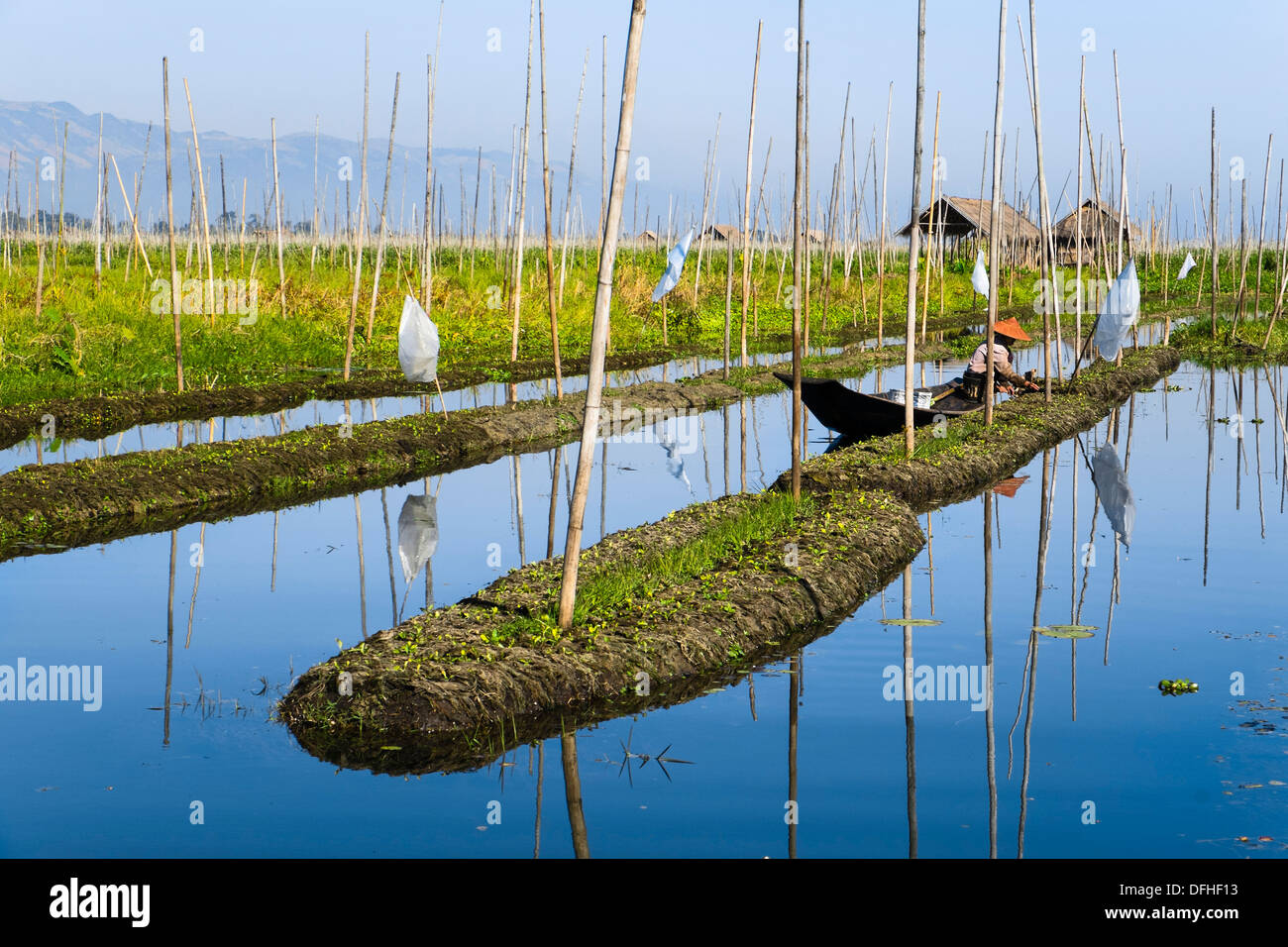 Floating gardens at Inle Lake, Myanmar, Asia Stock Photo