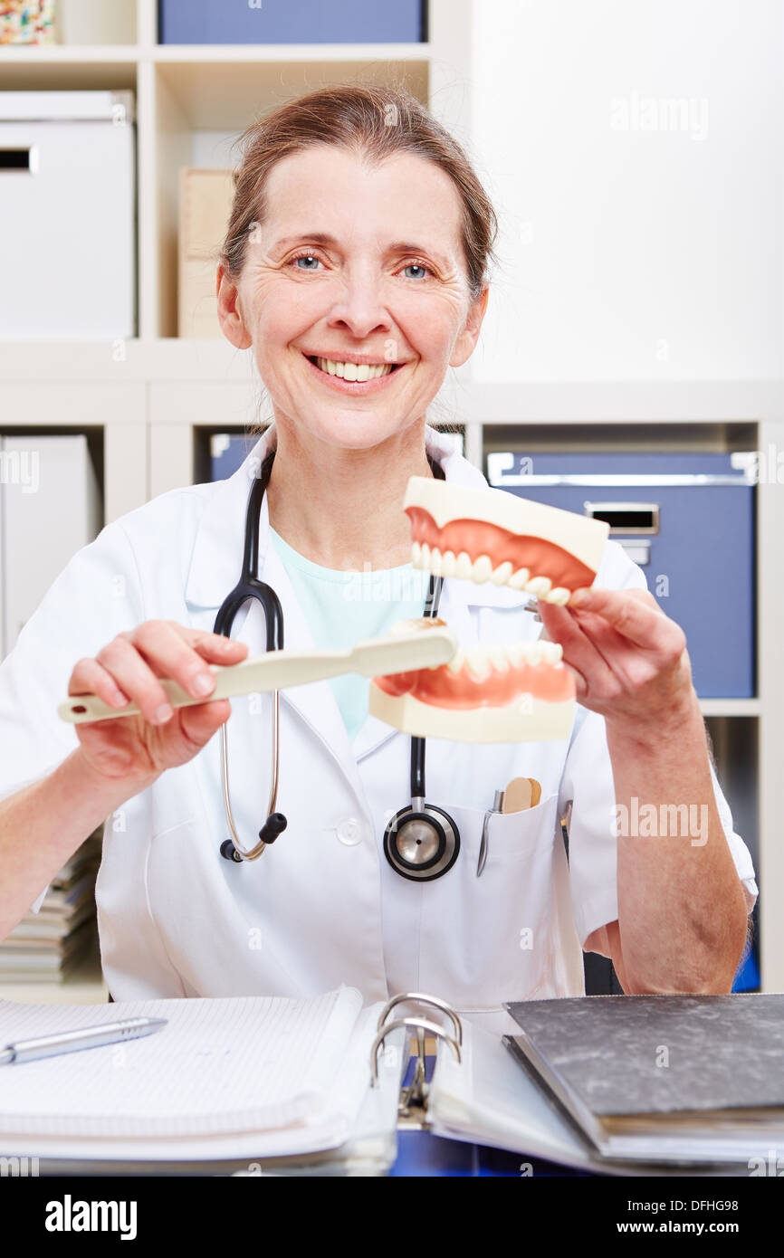 Dentist with dentures and toothbrush explaining how to brush teeth