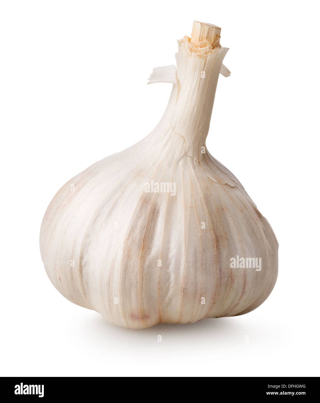 White garlic isolated on a white background Stock Photo
