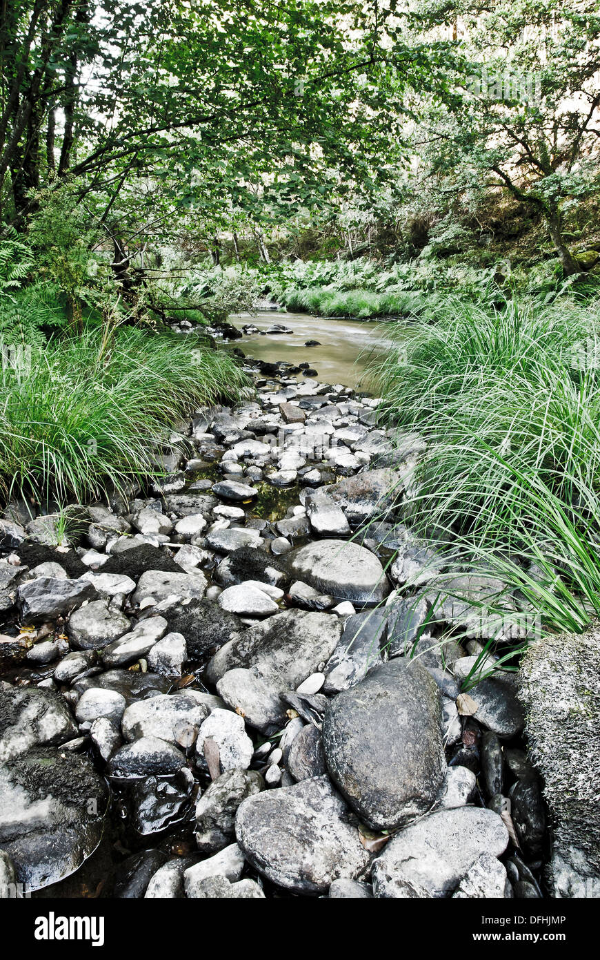 bedrock to the river that flows through the grass green Stock Photo Alamy