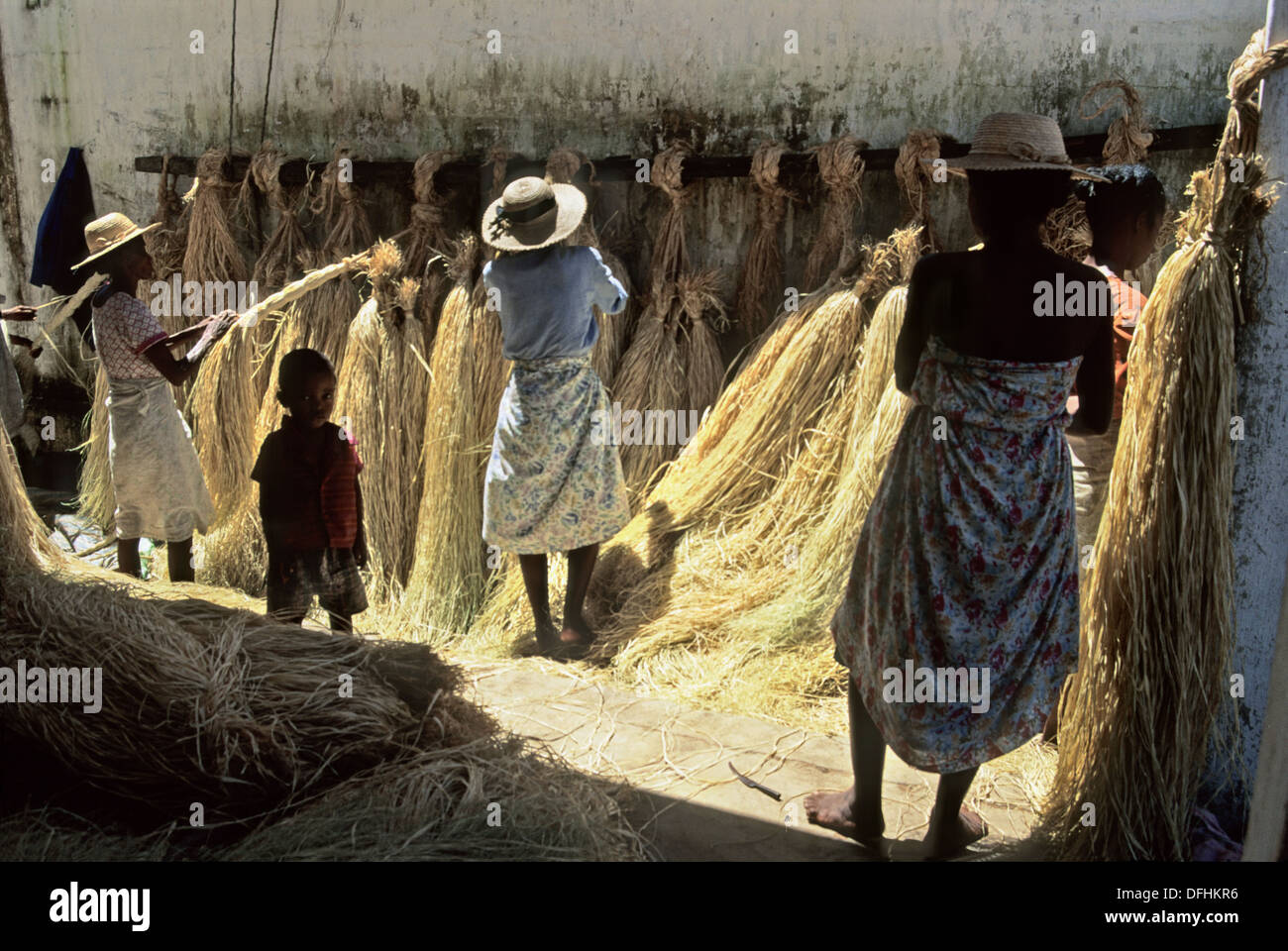 Raffia Madagascar High Resolution Stock Photography and Images Alamy